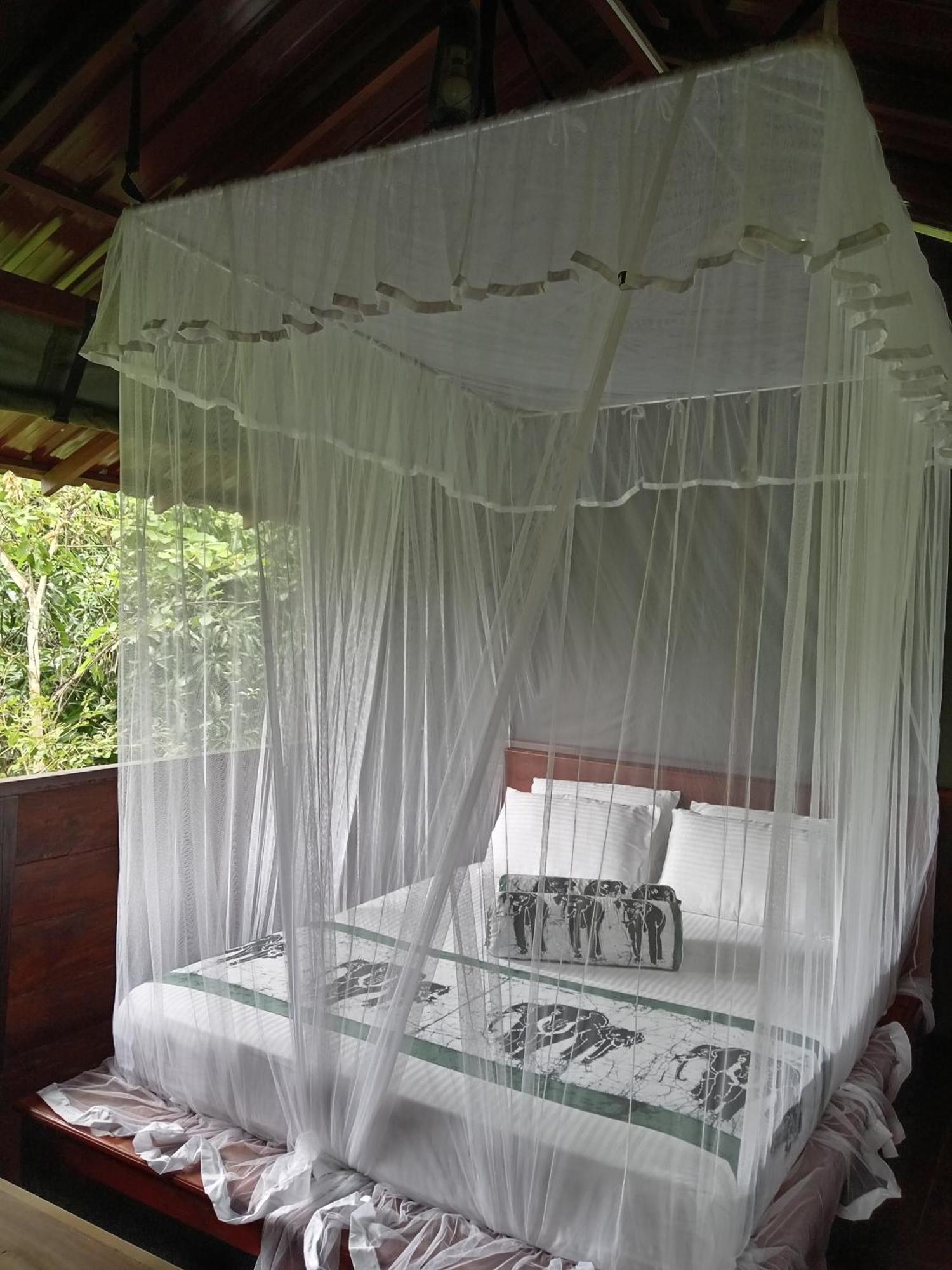 Вілла Dambulla Tree House Екстер'єр фото